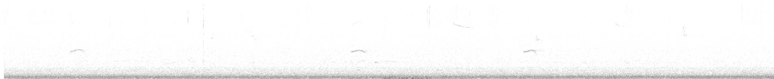 Common Chiffchaff (Siberian) - ML614529001