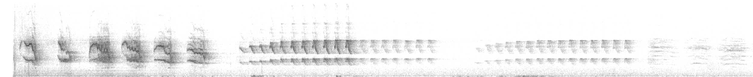 sokol stěhovavý (ssp. pelegrinoides) - ML614530267