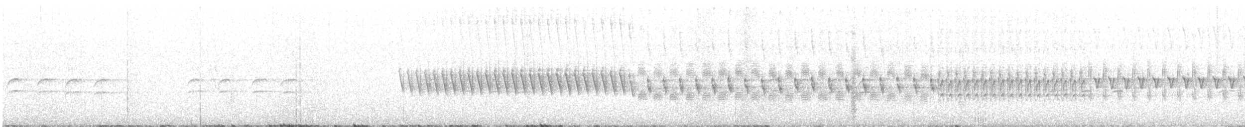 křivka bělokřídlá - ML614530920
