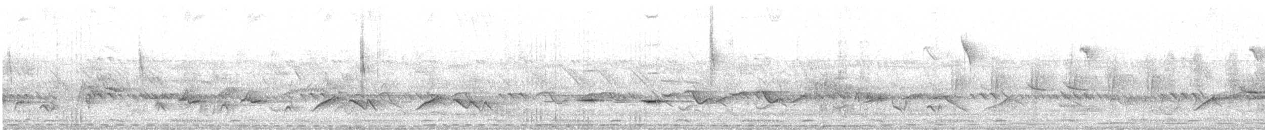 Weißflankenschnäpper - ML614531130
