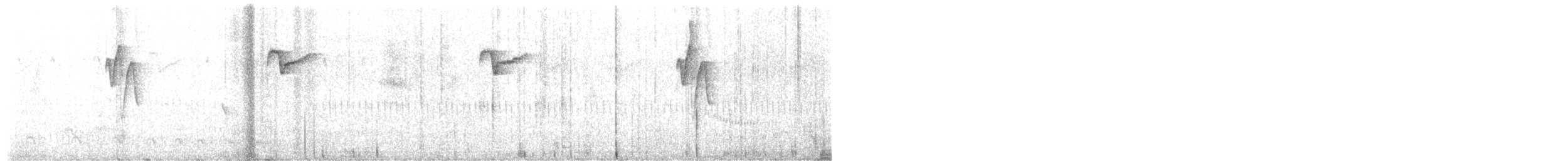 Клинохвостый колибри-отшельник - ML614532900