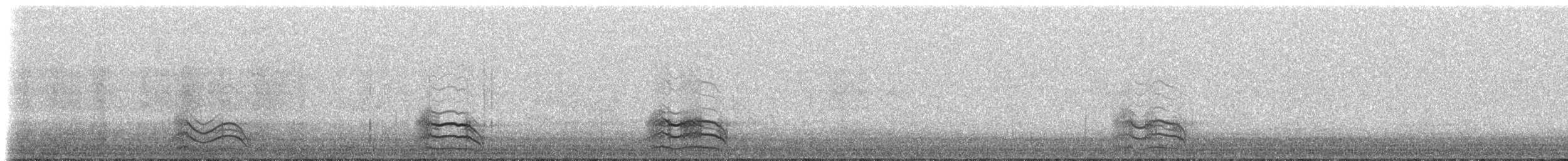 Zingira-hontza (flammeus) - ML614541676