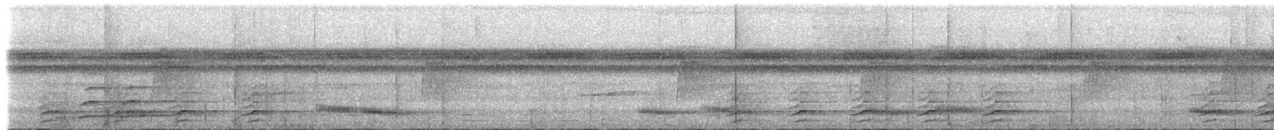 Toucan vitellin (culminatus/pintoi) - ML614543071