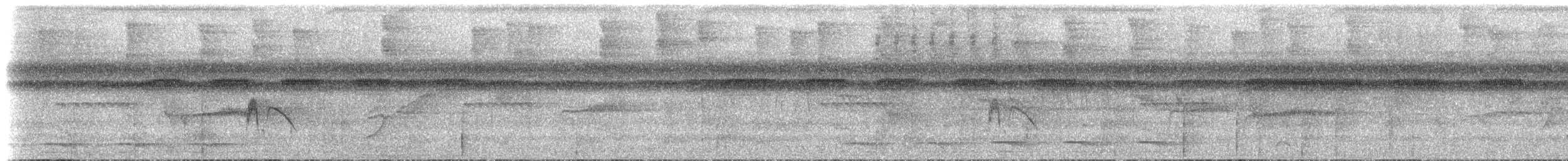 Blackish Pewee - ML614543295