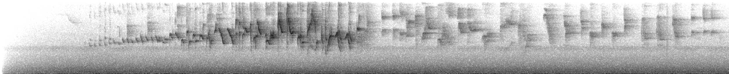 Paruline triligne - ML614544448