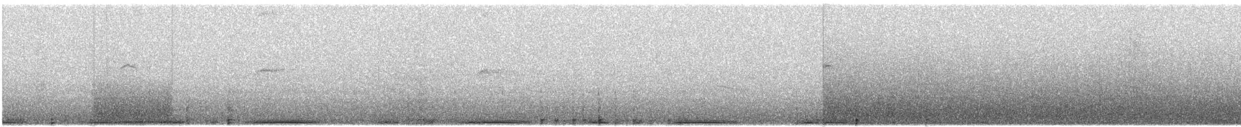 holub skvrnokřídlý - ML614549357