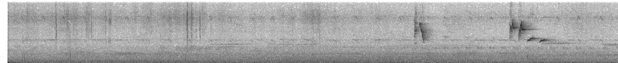 Длинноклювая нектарница - ML614550972
