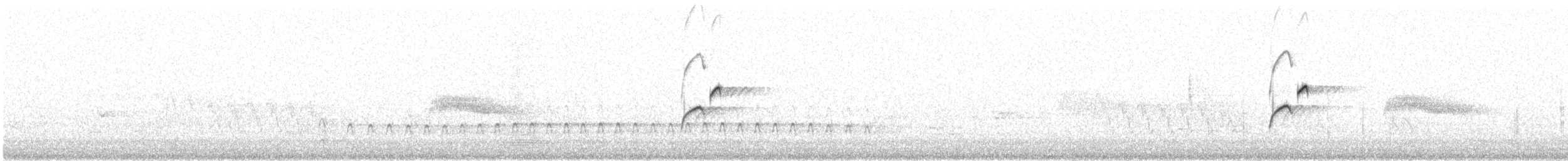 Batı Amerika Sinekkapanı (occidentalis/hellmayri) - ML614569465