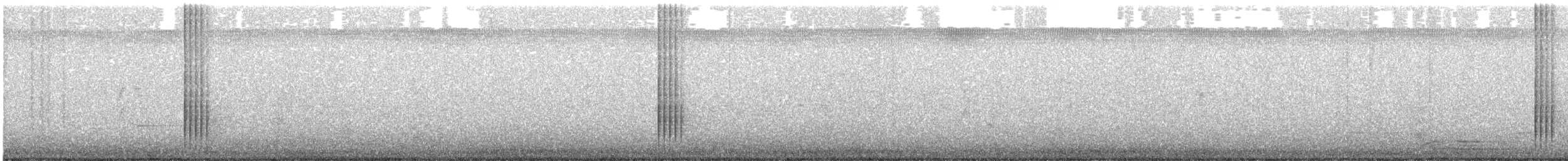 Greater Roadrunner - ML614572232