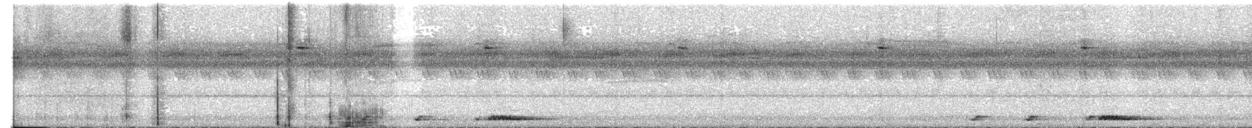 Сплюшка східноазійська (підвид modestus) - ML614572513