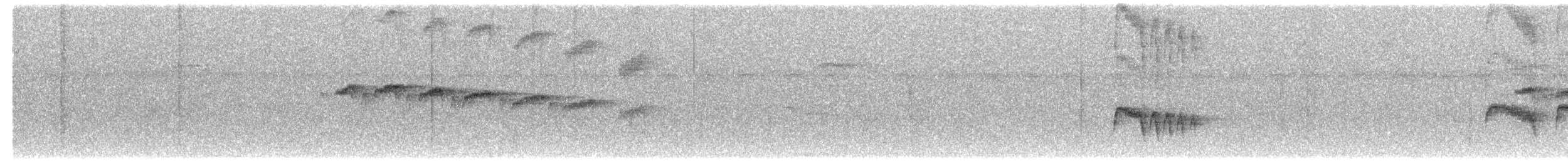 Damalı Karıncakuşu - ML614576299