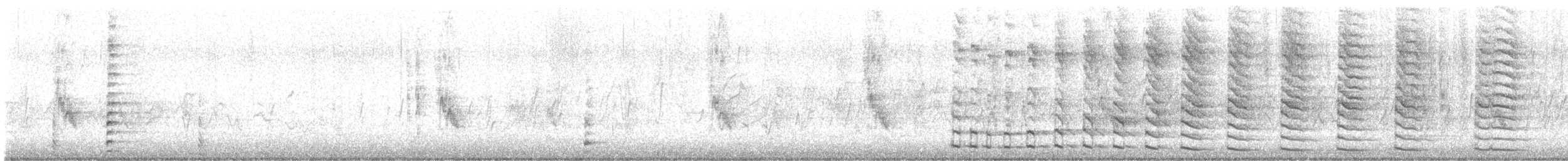 Common Gallinule (American) - ML614576620