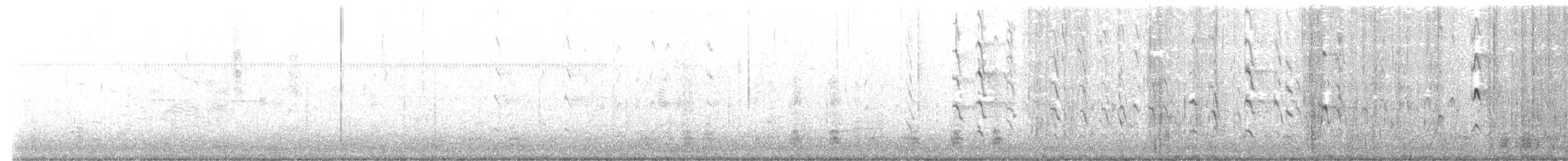 Kara Karınlı Islıkçı Ördek - ML614581041