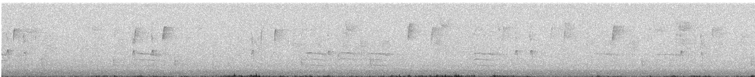Дрізд-короткодзьоб плямистоволий - ML614585945