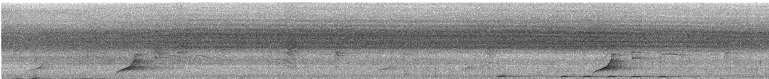 Whistling Dove - ML614586405