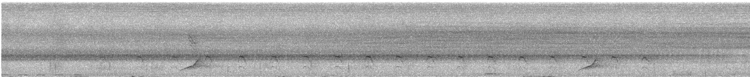 ledňáček pacifický - ML614586561