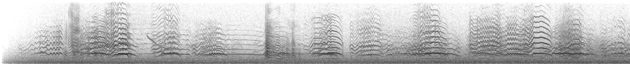 ørkenmåke - ML614591151