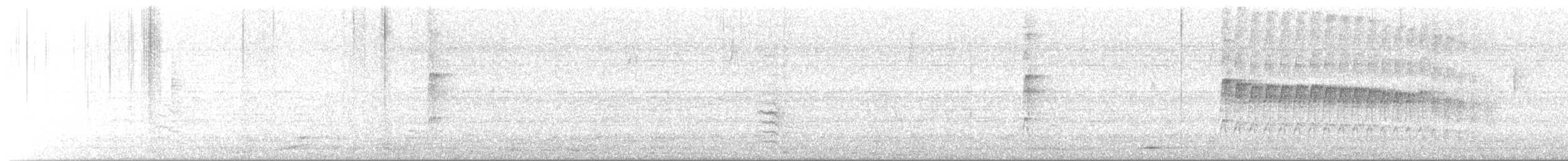 strakapoud proužkohřbetý - ML614591202
