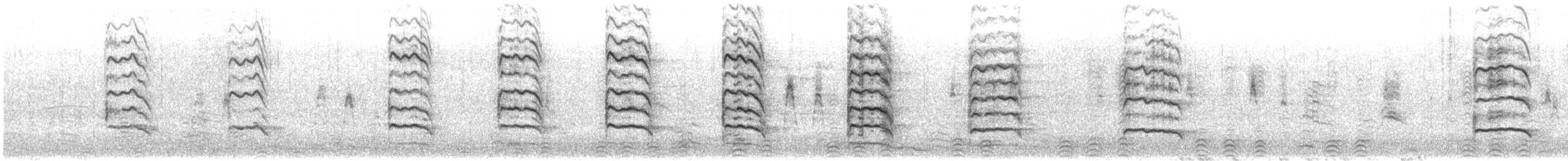 Blutschnabelmöwe - ML614602613