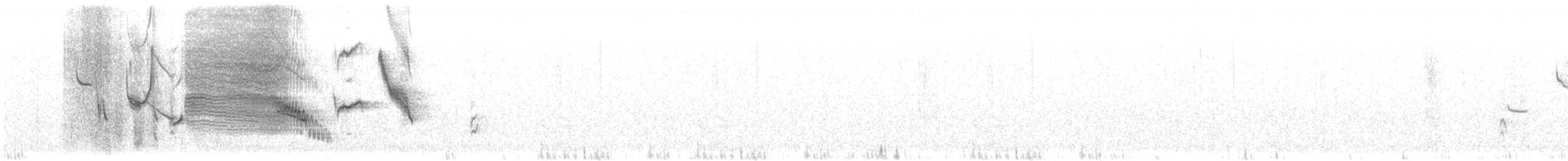 オナガマキバドリ - ML614603798