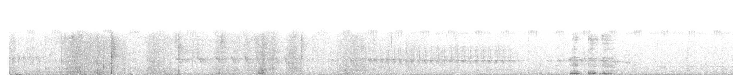 Weißflanken-Ameisenschlüpfer - ML614604207