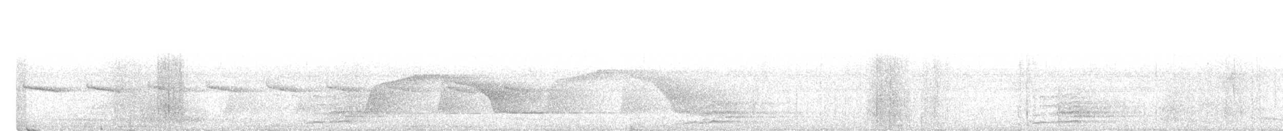Rostbauch-Ameisenschlüpfer - ML614604504