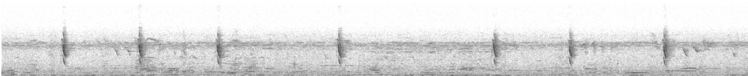 tykknebbvever - ML614609547