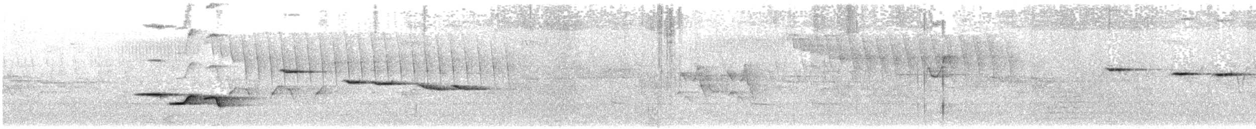 オグロコンヒタキ - ML614615359