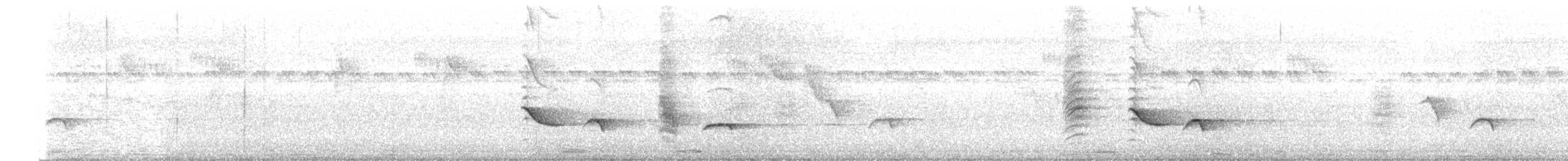 svartdrongo - ML614617987