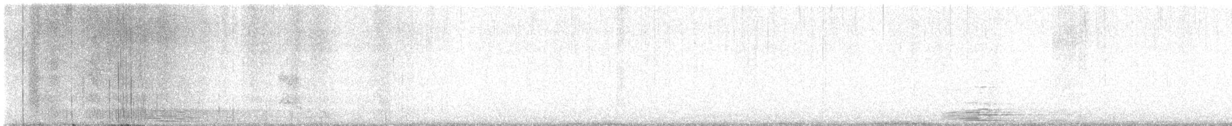 Chouette rayée - ML614619234