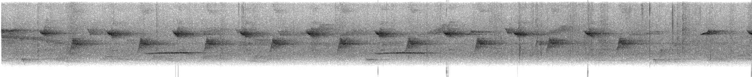 Длинноклювый колибри-отшельник - ML614624070