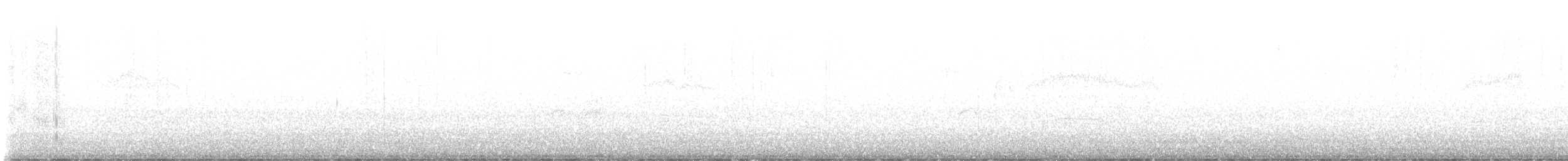 Weißbauch-Phoebetyrann - ML614624100
