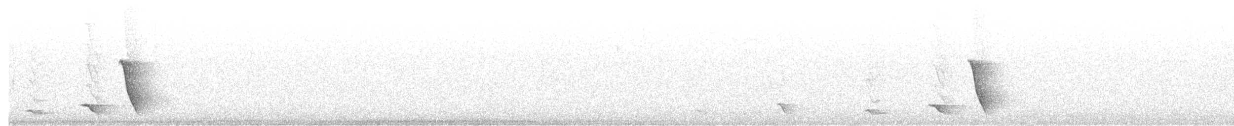 Чернохвостый свистун - ML614633722