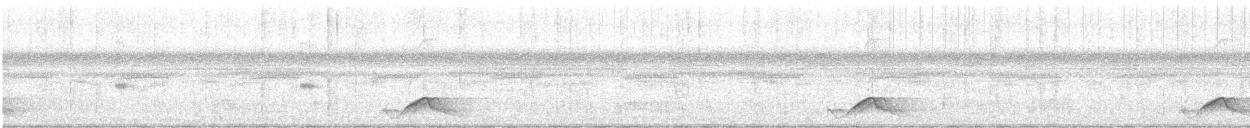 Pauraquenachtschwalbe - ML614635381