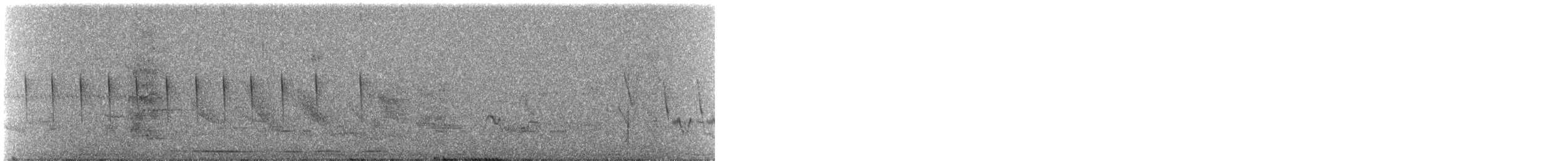 Tinamou noctivague (zabele) - ML614635937
