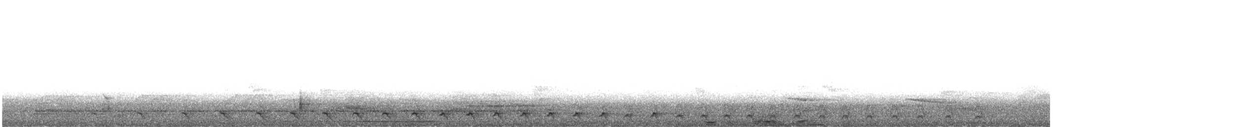 Baird's Trogon - ML614640712