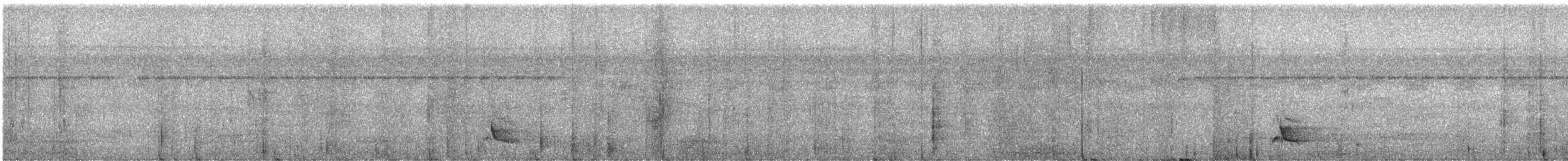Kara Karınlı Çıtkuşu - ML614641433