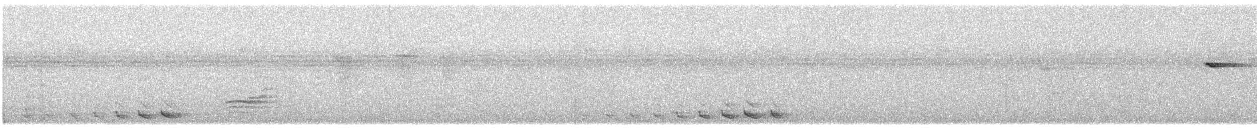 Turuncu Göğüslü Trogon [dulitensis grubu] - ML614641911