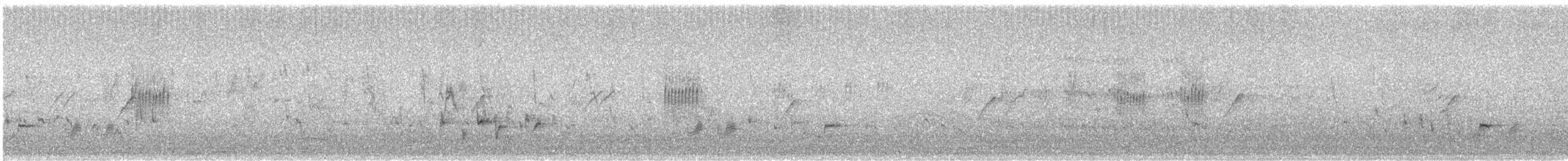 Атласная нектарница - ML614642189