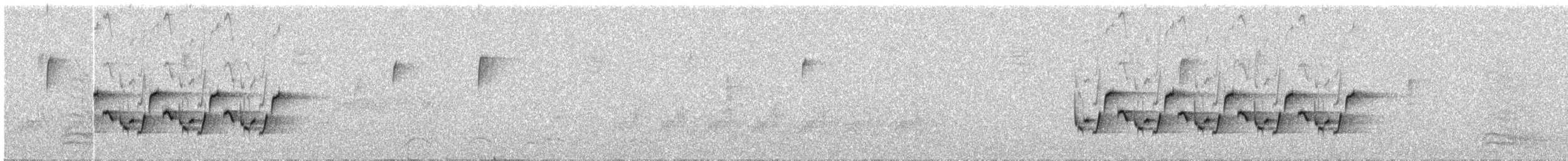 Поплітник каролінський - ML614644103