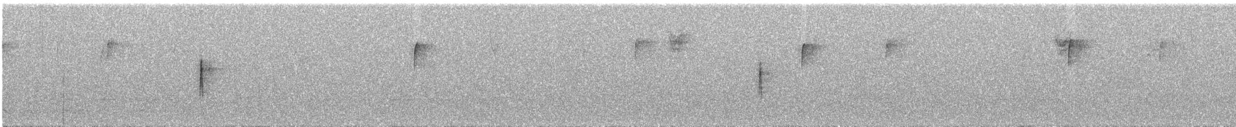 キヅタアメリカムシクイ（coronata） - ML614644109