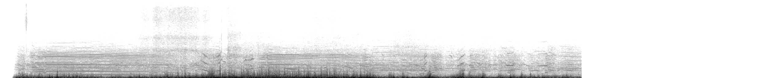Manchot de Magellan - ML614652801
