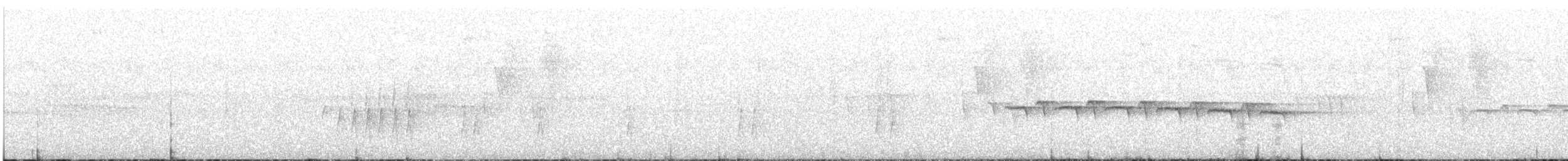 Weißband-Ameisenvogel - ML614655853