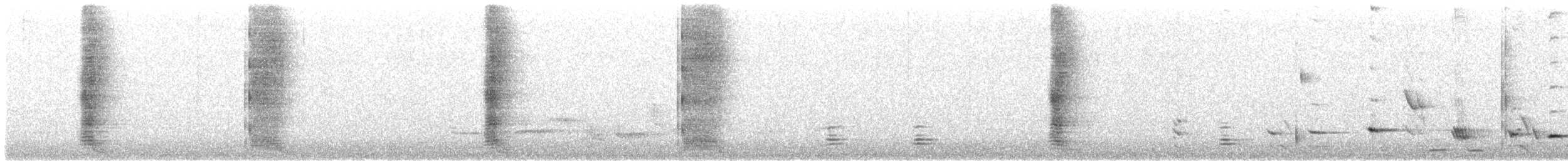 Méliphage carillonneur - ML614656593