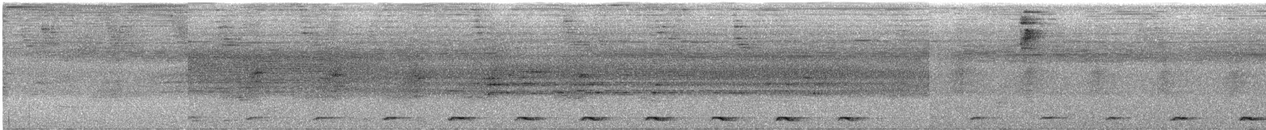 Blue-tailed Trogon - ML614656904