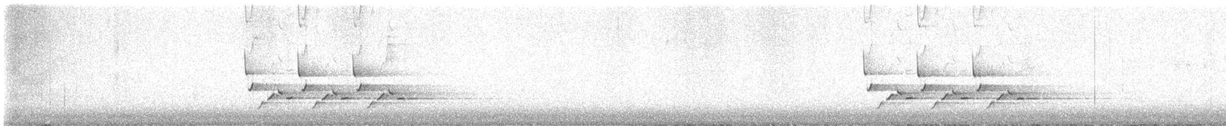 Поплітник каролінський - ML614659437