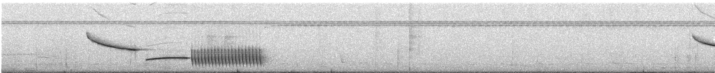 Troglodyte coraya - ML614661062