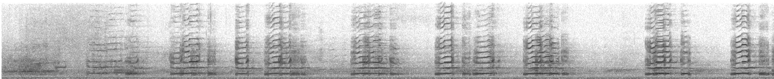 Anser sp. (forme domestique) - ML614661995