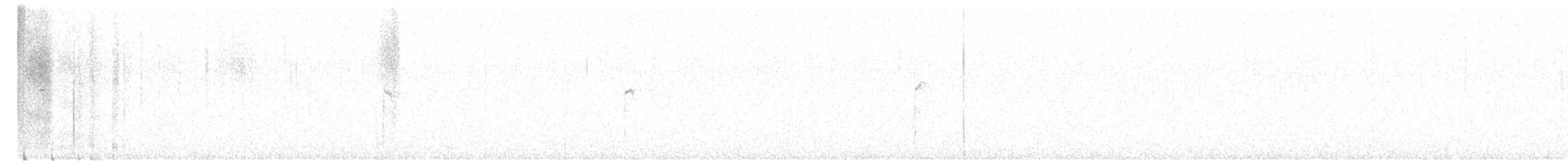 Haarspecht (orius/icastus) - ML614662526