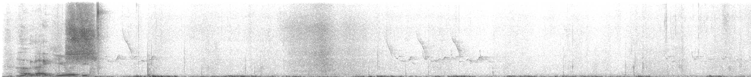 Carolina Wren - ML614668713